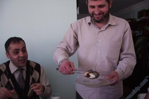 sarıyernizipcom4 