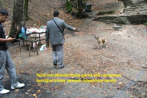 kpek 
