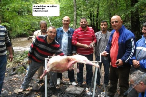 bunukimeyedireceim 
