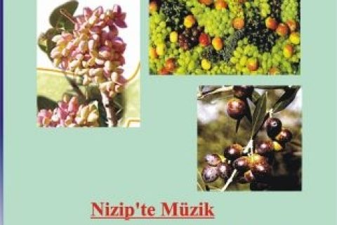 Nizip YIĞINAK GECESİ 1 