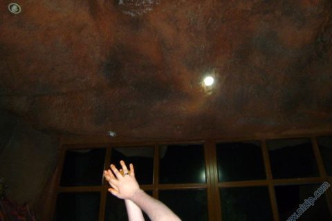 7943-DSC02550 