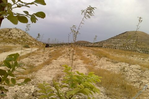 25092010127 