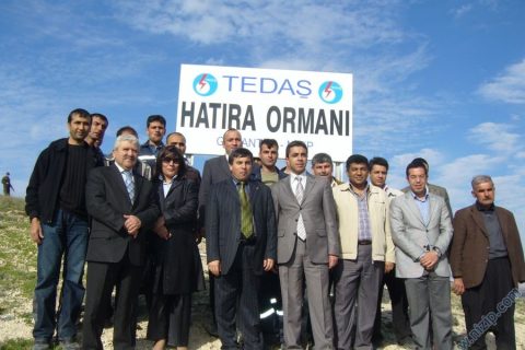 tedaş fidan dikimi.. 