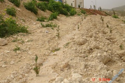 sulama 2010 