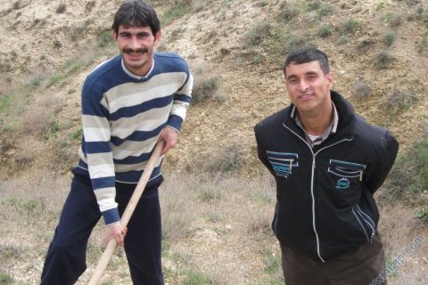 NİBED 
