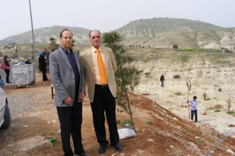 2010 agaçlandırma 