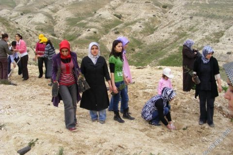 2010 agaçlandırma 