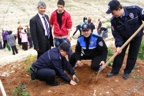 2010 ağaç dikme 