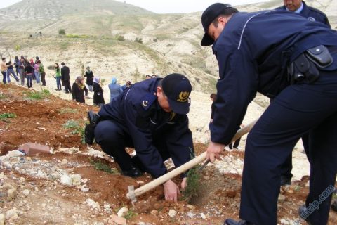 2010 ağaç dikme 