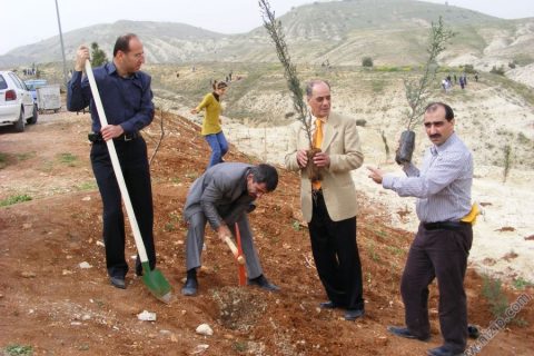 2010 ağaç dikme 