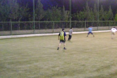 7943-DSC02459 