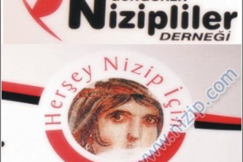 gngrennizipliler_717196 