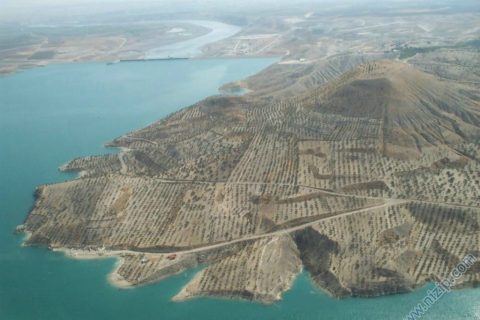 Zeugma - Belkıs 