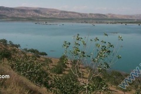 zeugma alanı 