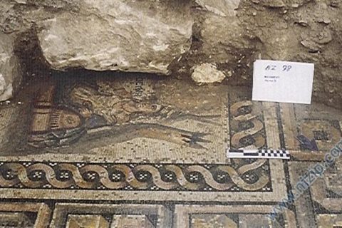 kazı alanı- 