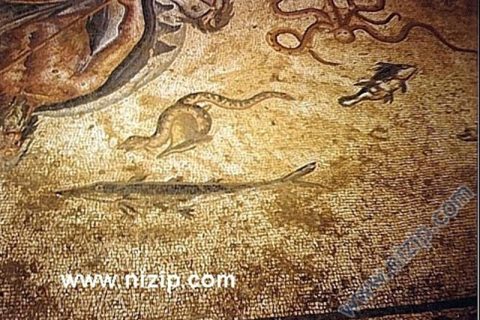 zeugma mozaik 