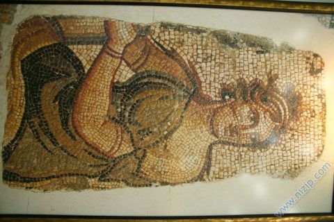 Baraj kültür evi 