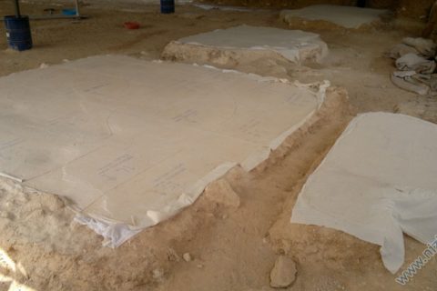 Nizibyn mozaikleri için ayaklanma 