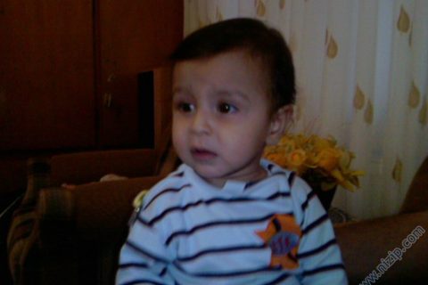 test a