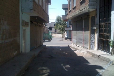 IMG_0653_497888 