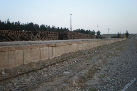 P4170226 