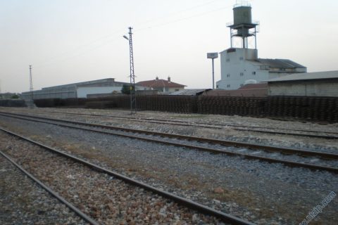 P4170225 