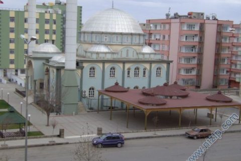 nizipli olmak başka 