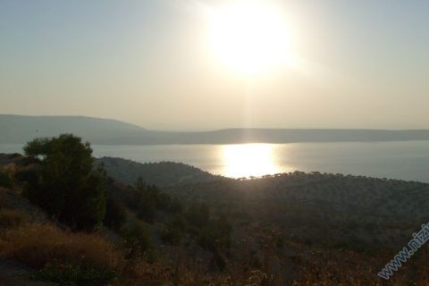 barajdan bir sabah 