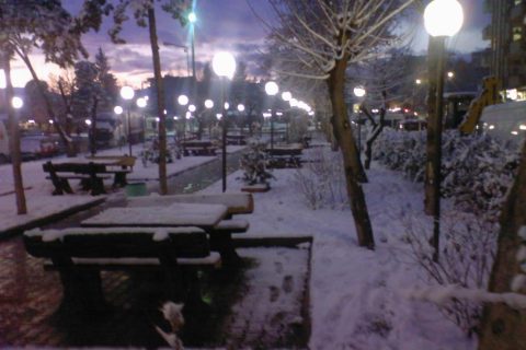 sebze hali parkı 