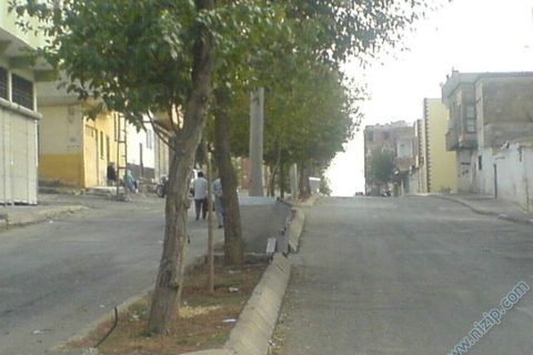 istasyon mahallesi kerzin caddesi 