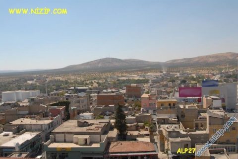 nizip 