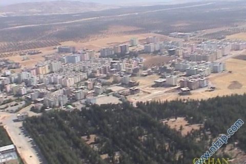 1741-nizip_036 