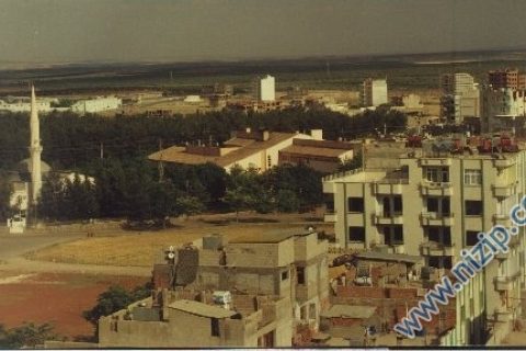 nizip 