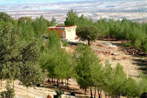 taşbaş 