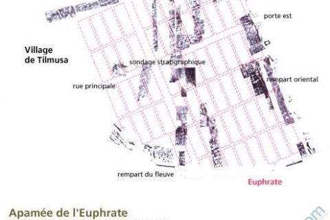 zeugma alanı 