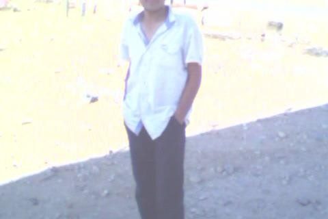 Ali 