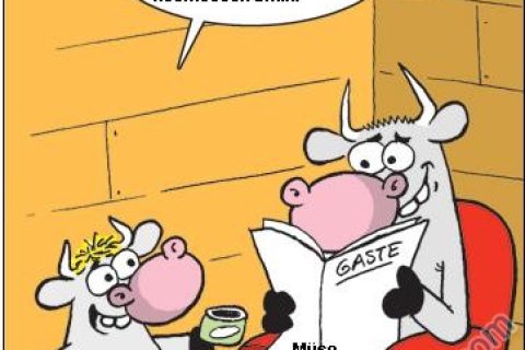 kuzu 