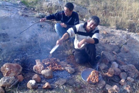 ahmet aslan ve memet aslan 