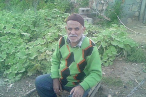 cemal bozdemir 