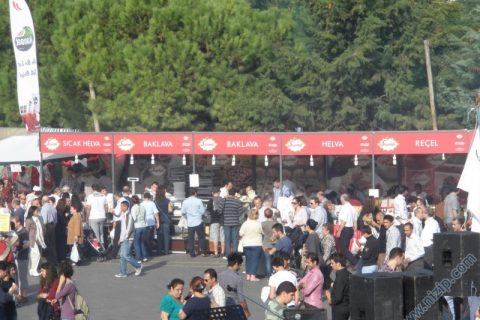 gökyer 