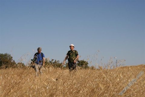 Birecik Baraj Gölü Havzası ve Otoban Köprüsü 