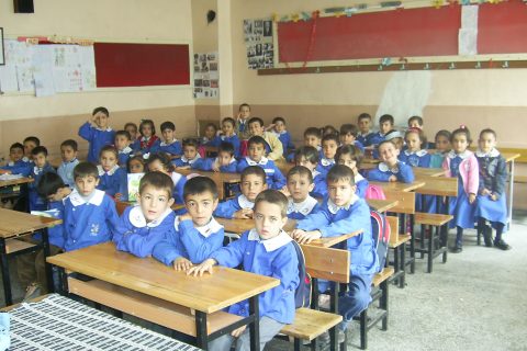 2006-20071-ASnfta 