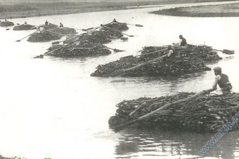 kelektaşıma3 
