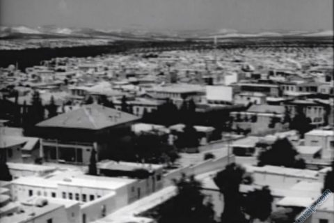 1965 nizip manzara 