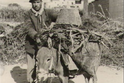S.Hasan özdemir babası 