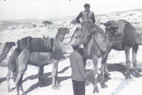 deveci memeg ve develeri 