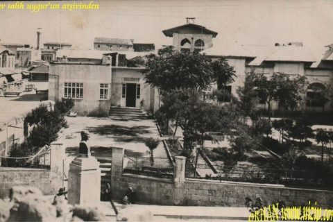 belediye 