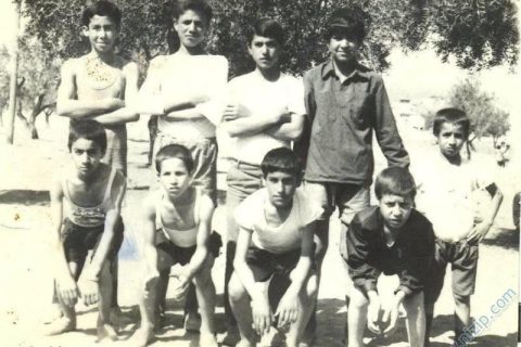 mahalle arkadaşları 