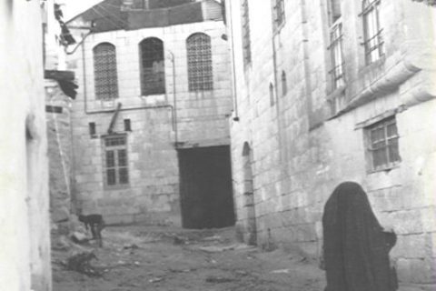 saha mahallesi 