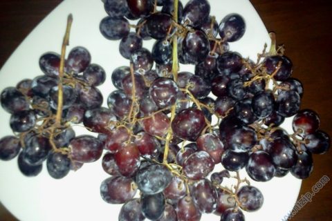 HUNUSÜ ÜZÜMÜ 